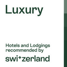 Immagine - 2b006b87-c037-488d-bd5e-509c7fcdfac1